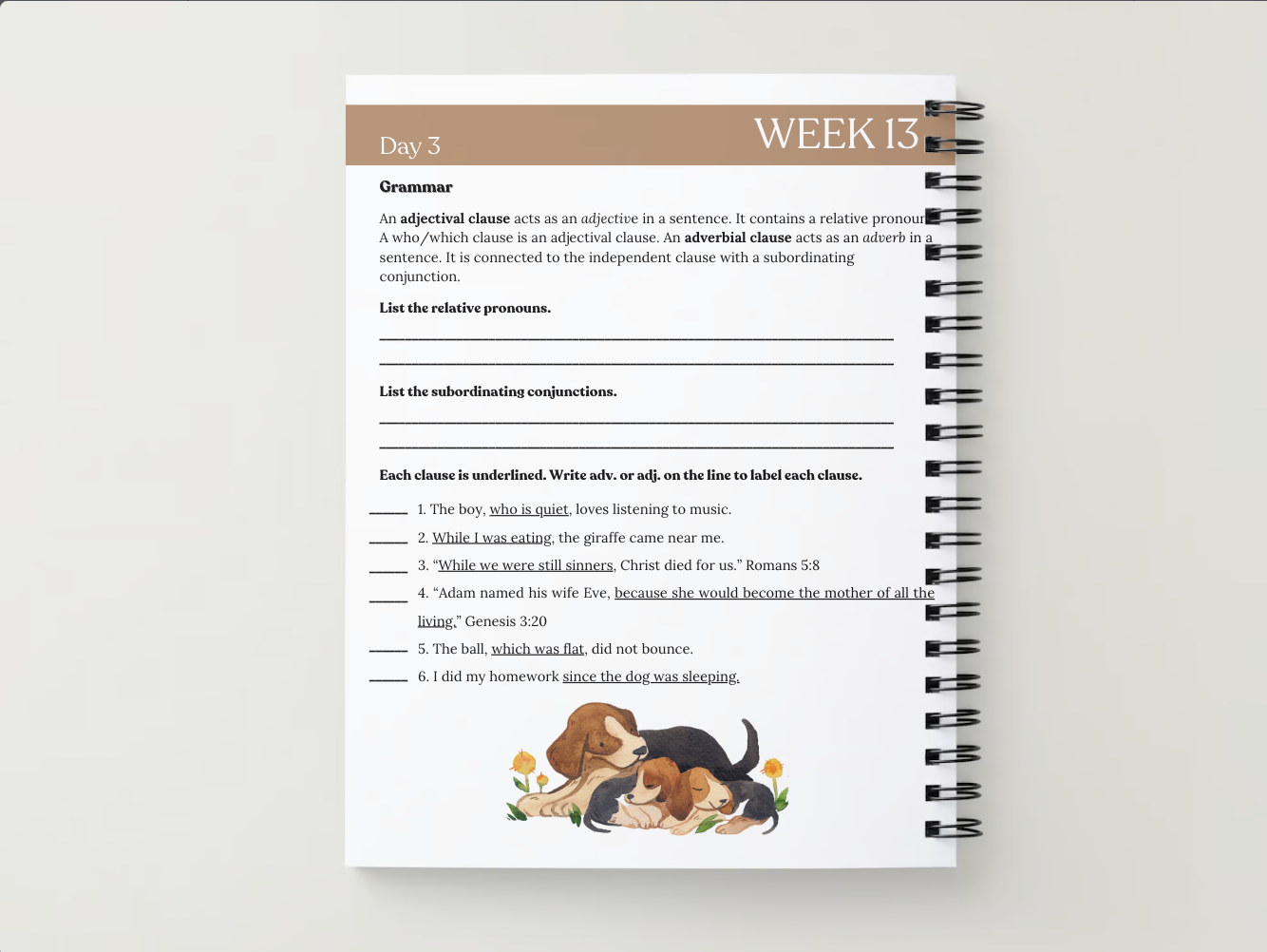 Essentials Workbook | Cycle 1 Quarter 3