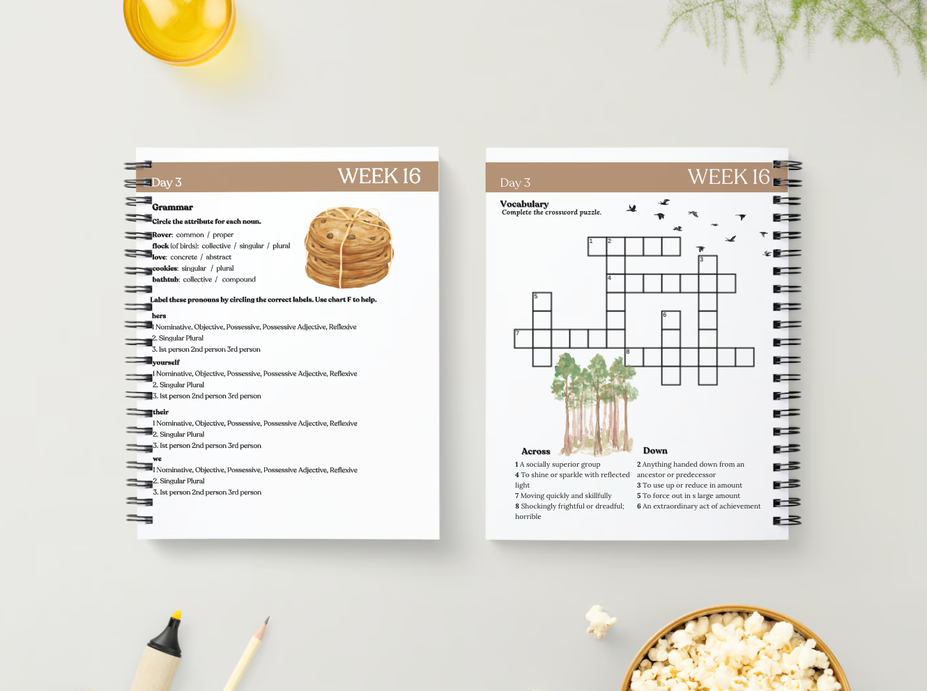 Essentials Workbook | Cycle 1 Quarter 3