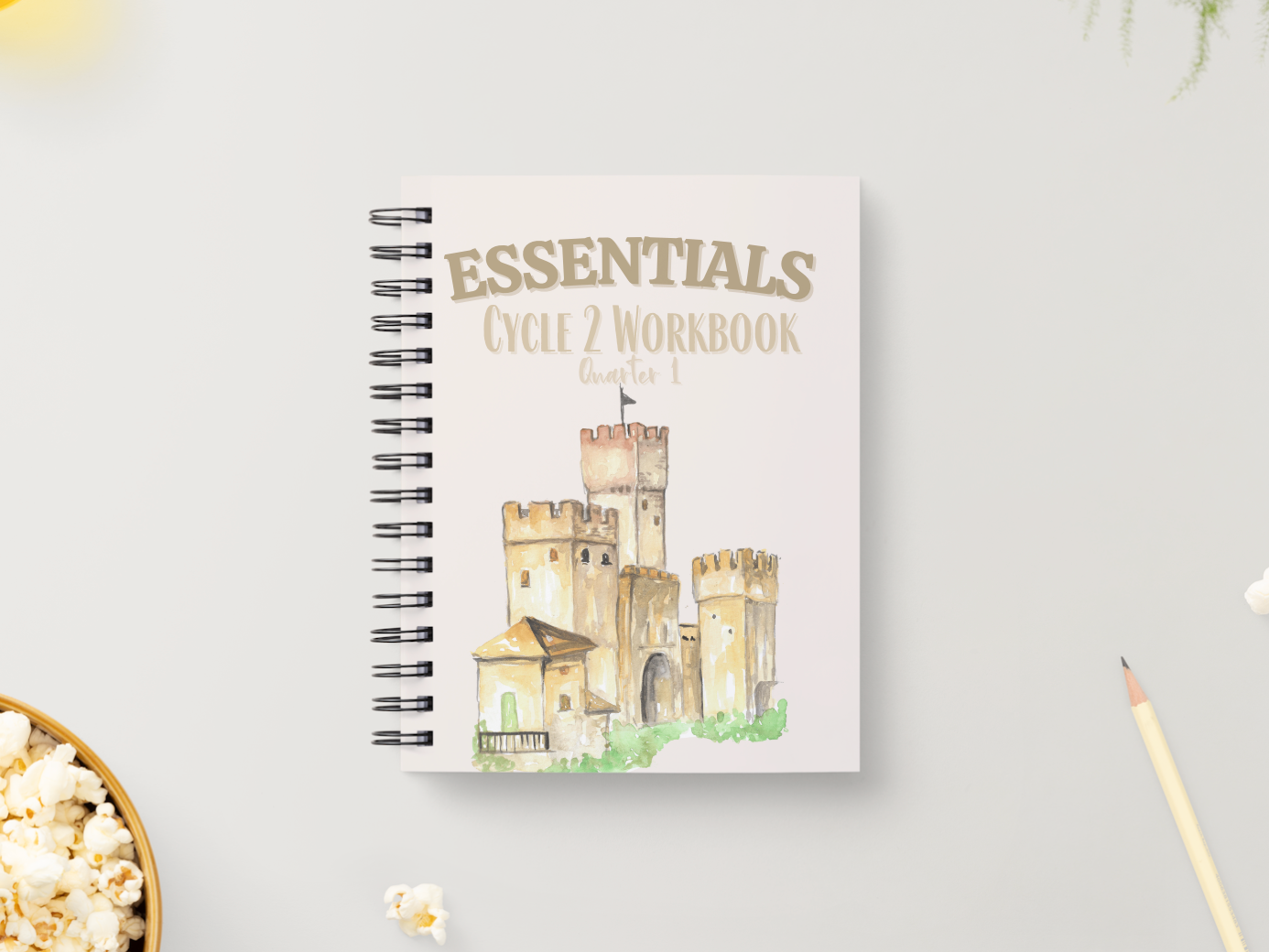 Cycle 2 Essentials Workbook | Quarter 1