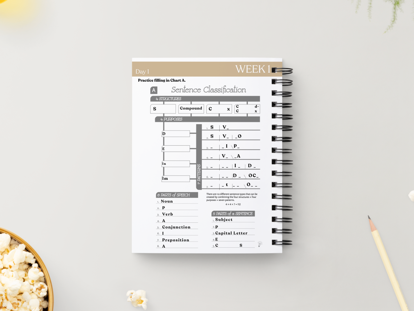 Cycle 2 Essentials Workbook | Quarter 1