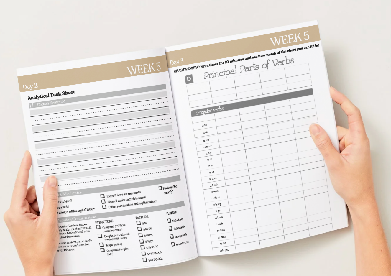 Cycle 2 Essentials Workbook | Quarter 1