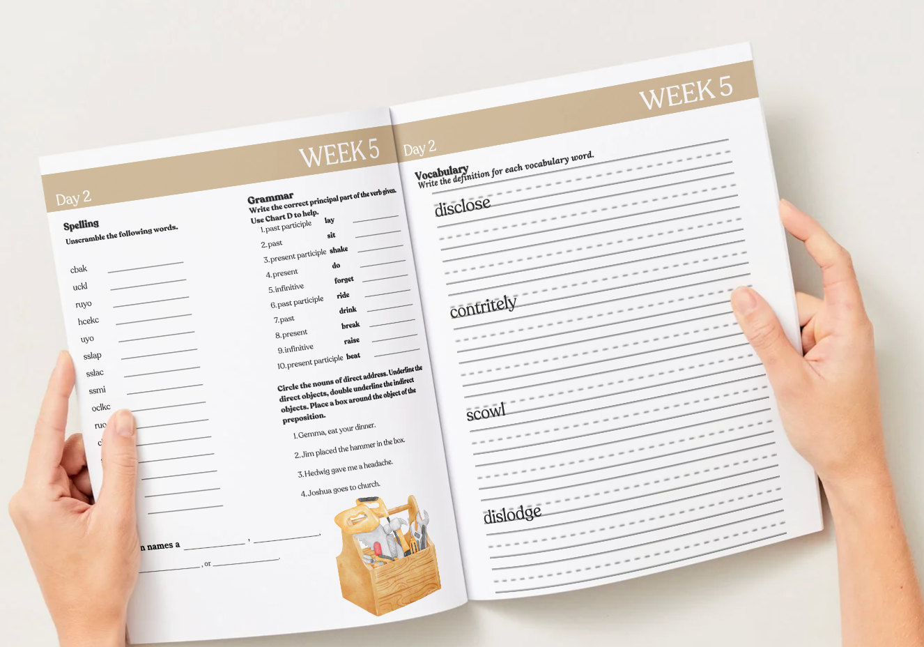 Cycle 2 Essentials Workbook | Quarter 1