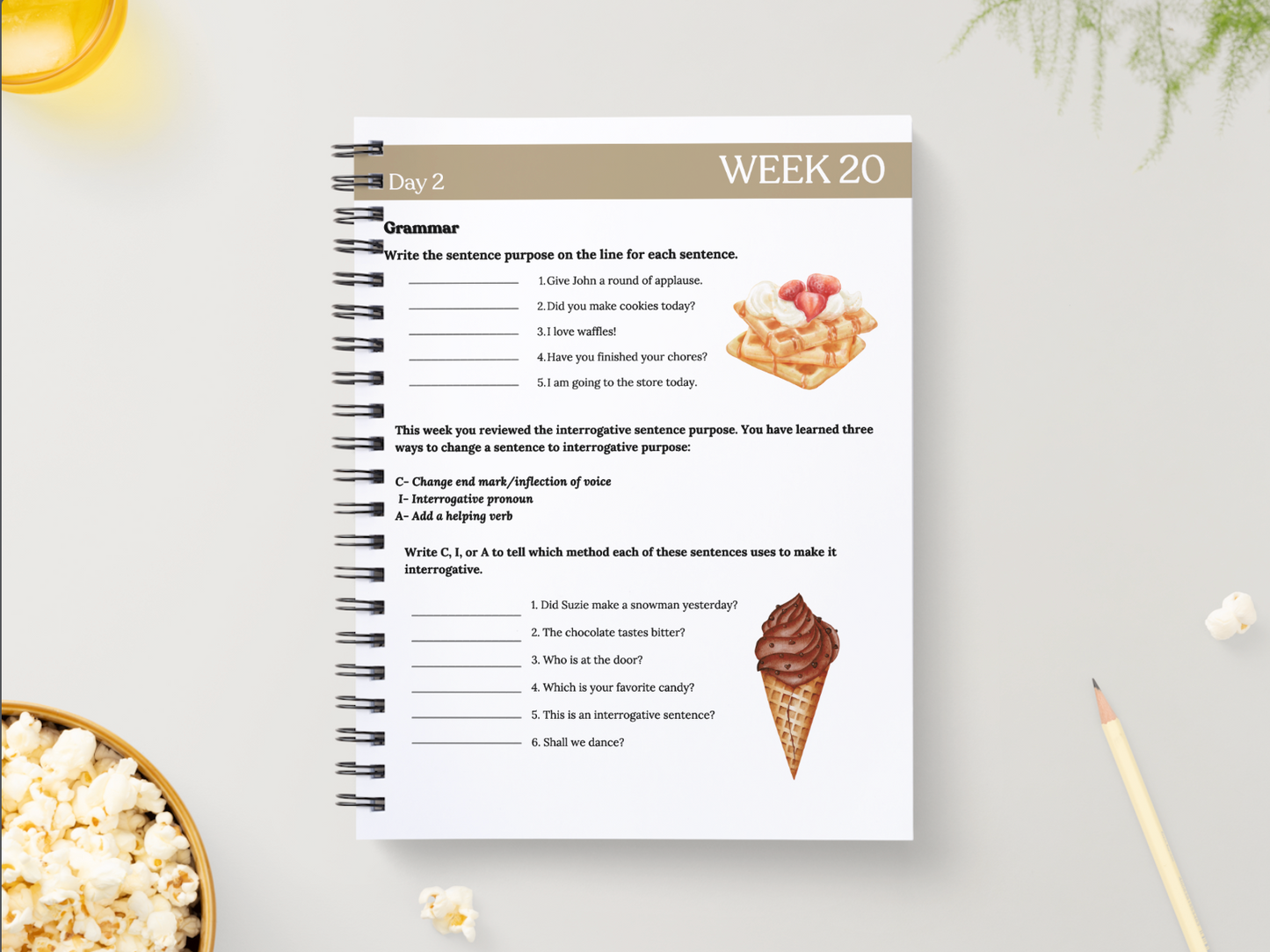 Essentials Workbook | Quarter 4
