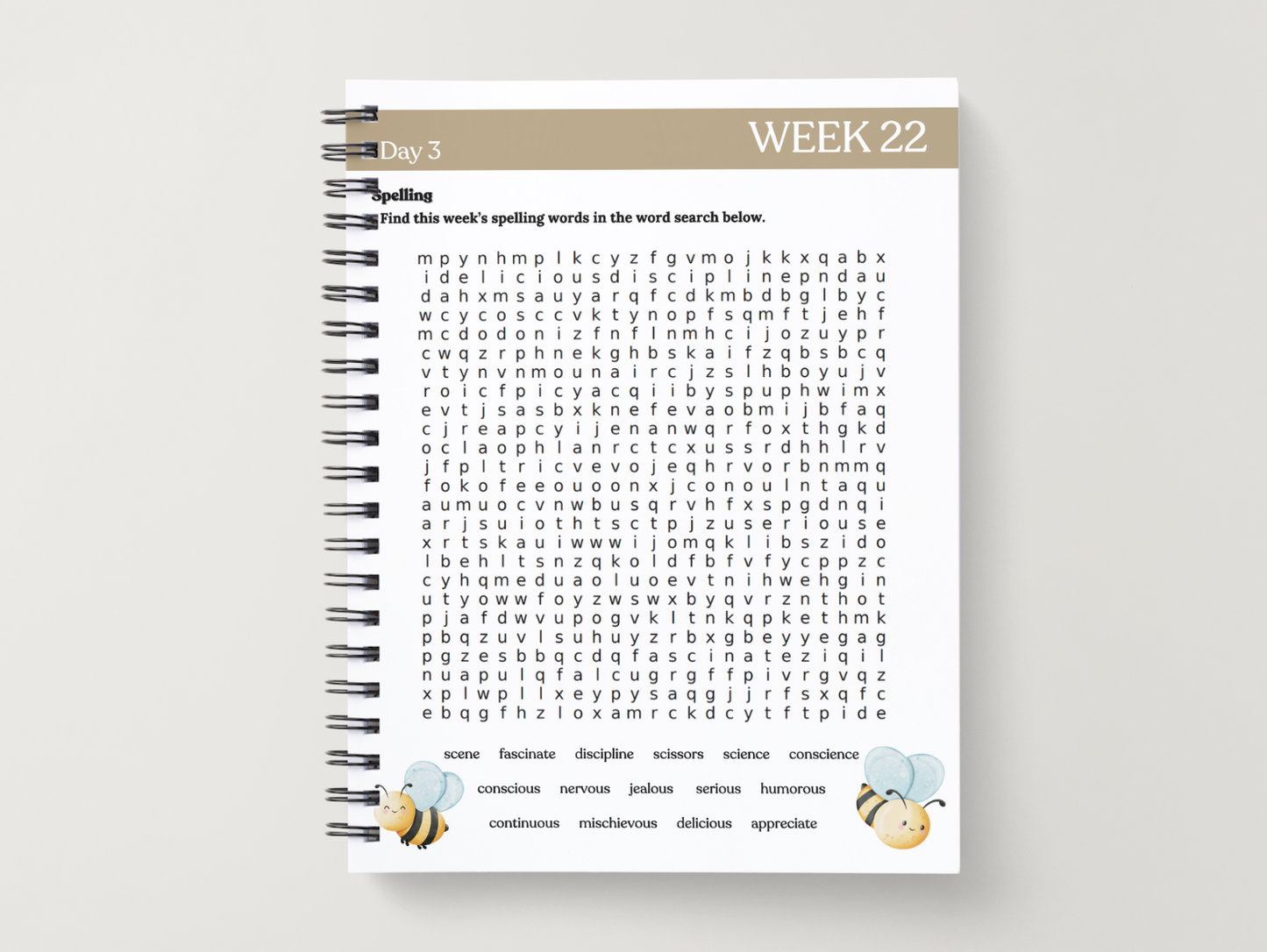 Essentials Workbook | Quarter 4