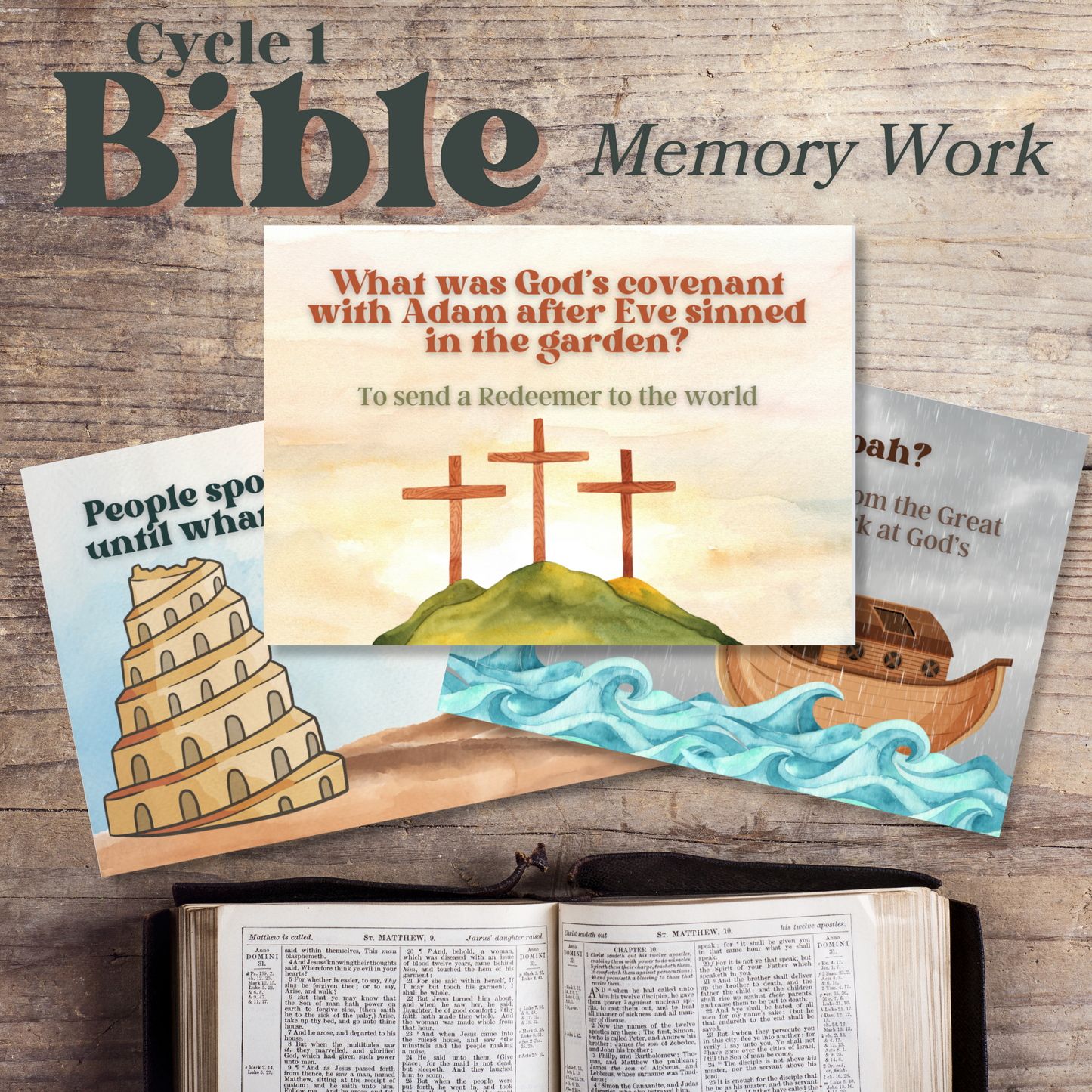 Bible Facts Memory Work + Flashcards | Bible Foundations