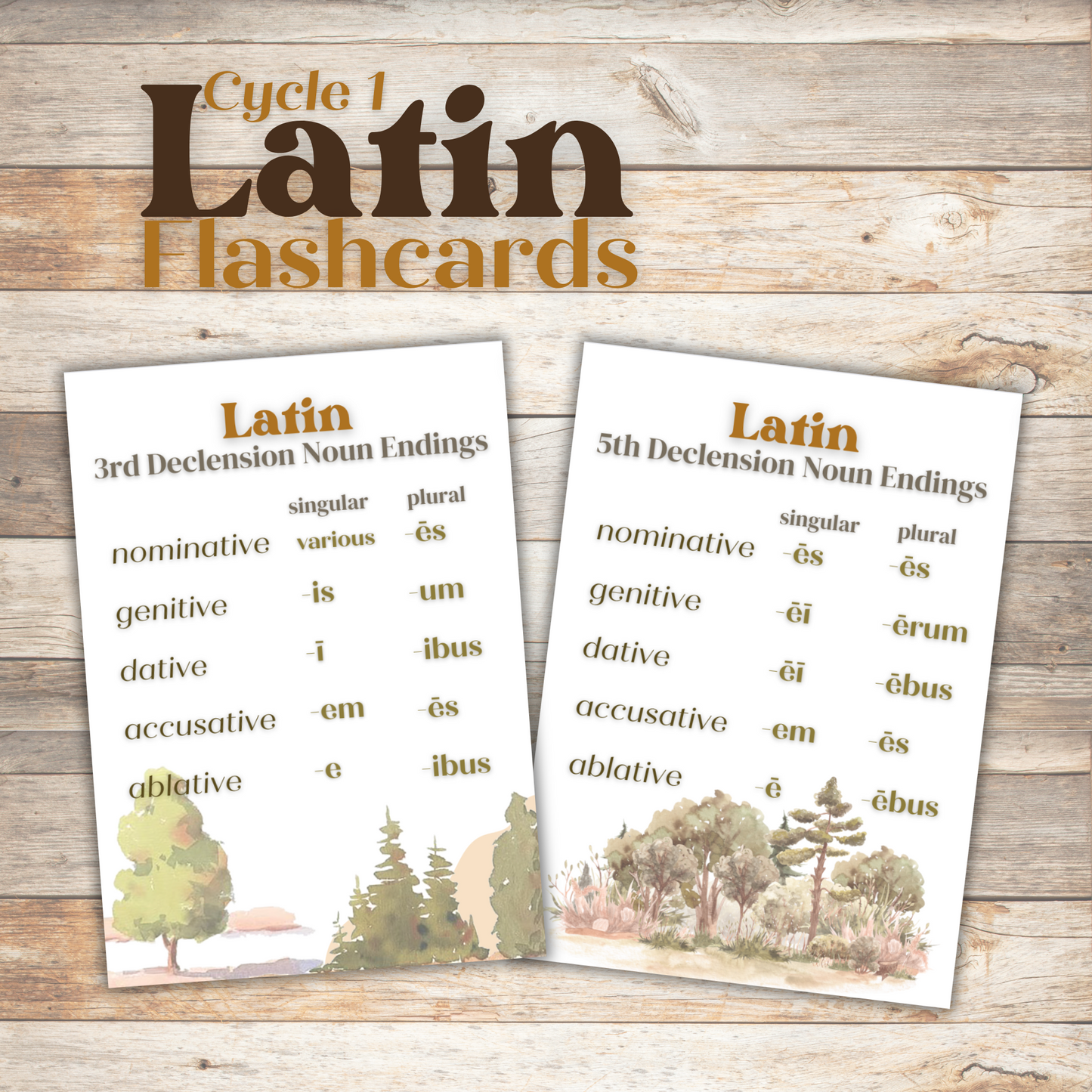 Cycle 1 Latin Memory Cards