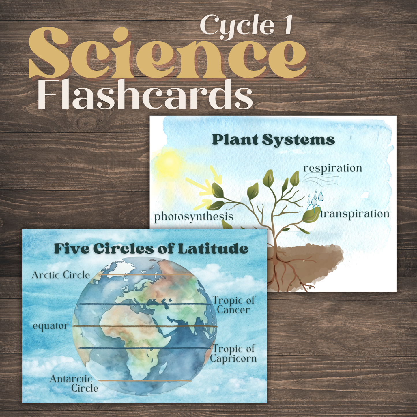 Cycle 1 Science Memory Cards