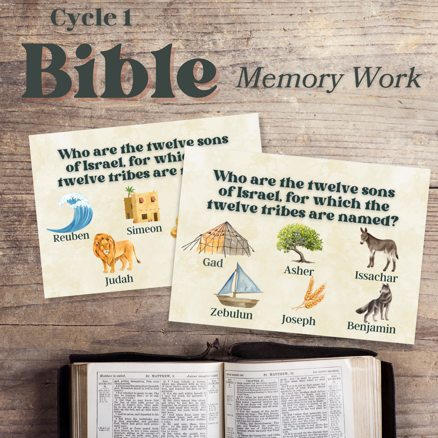 Bible Facts Memory Work + Flashcards | Bible Foundations