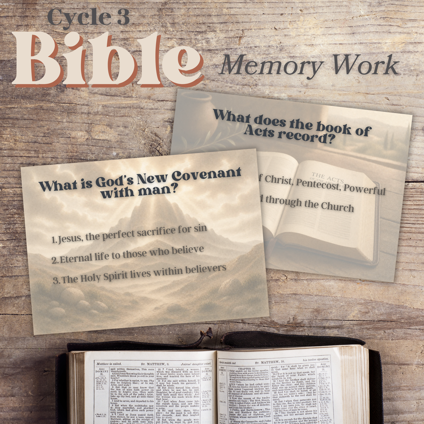 Bible Facts + Memory Work | Gospels to Revelation | Bible Foundations