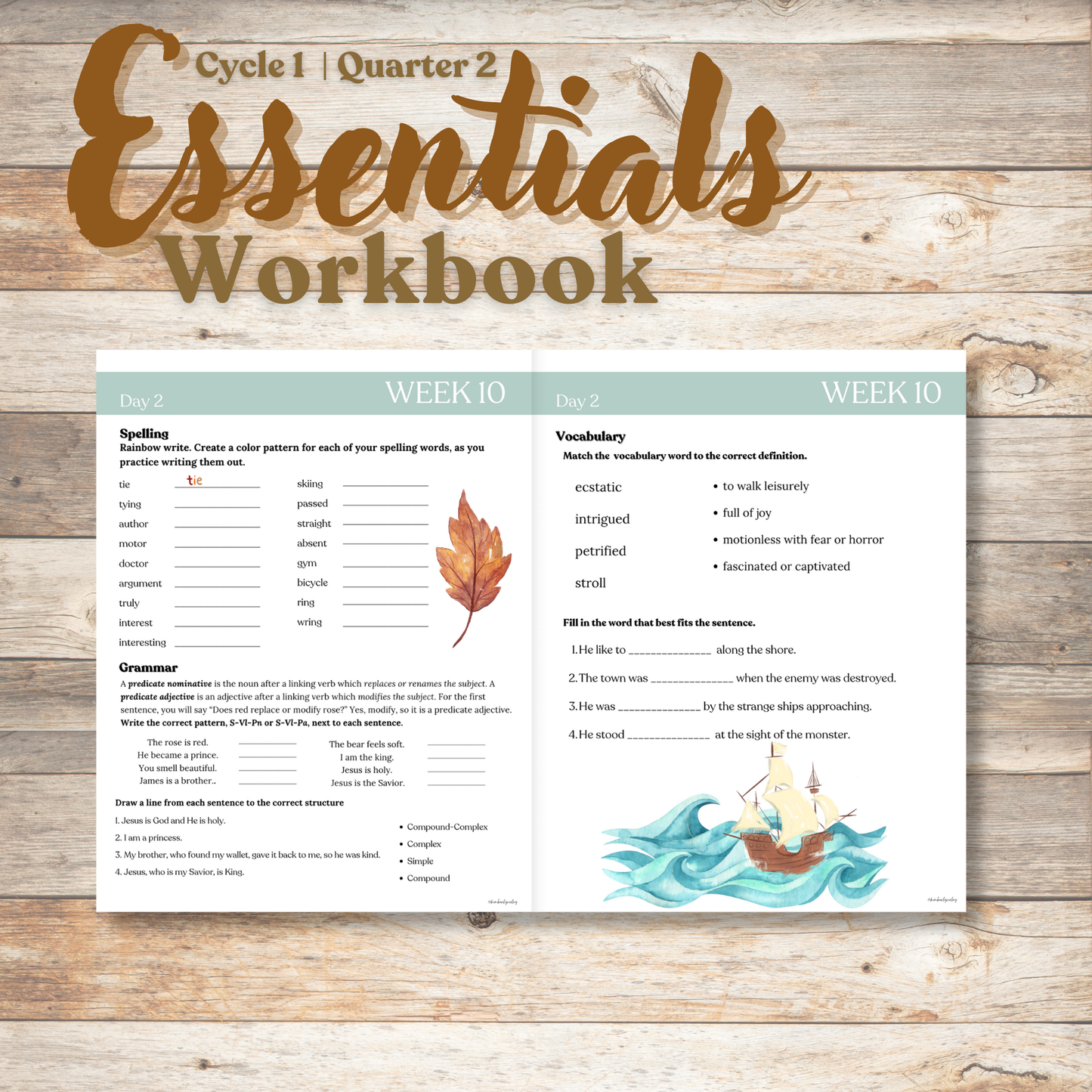 Essentials Workbook | Quarter 2