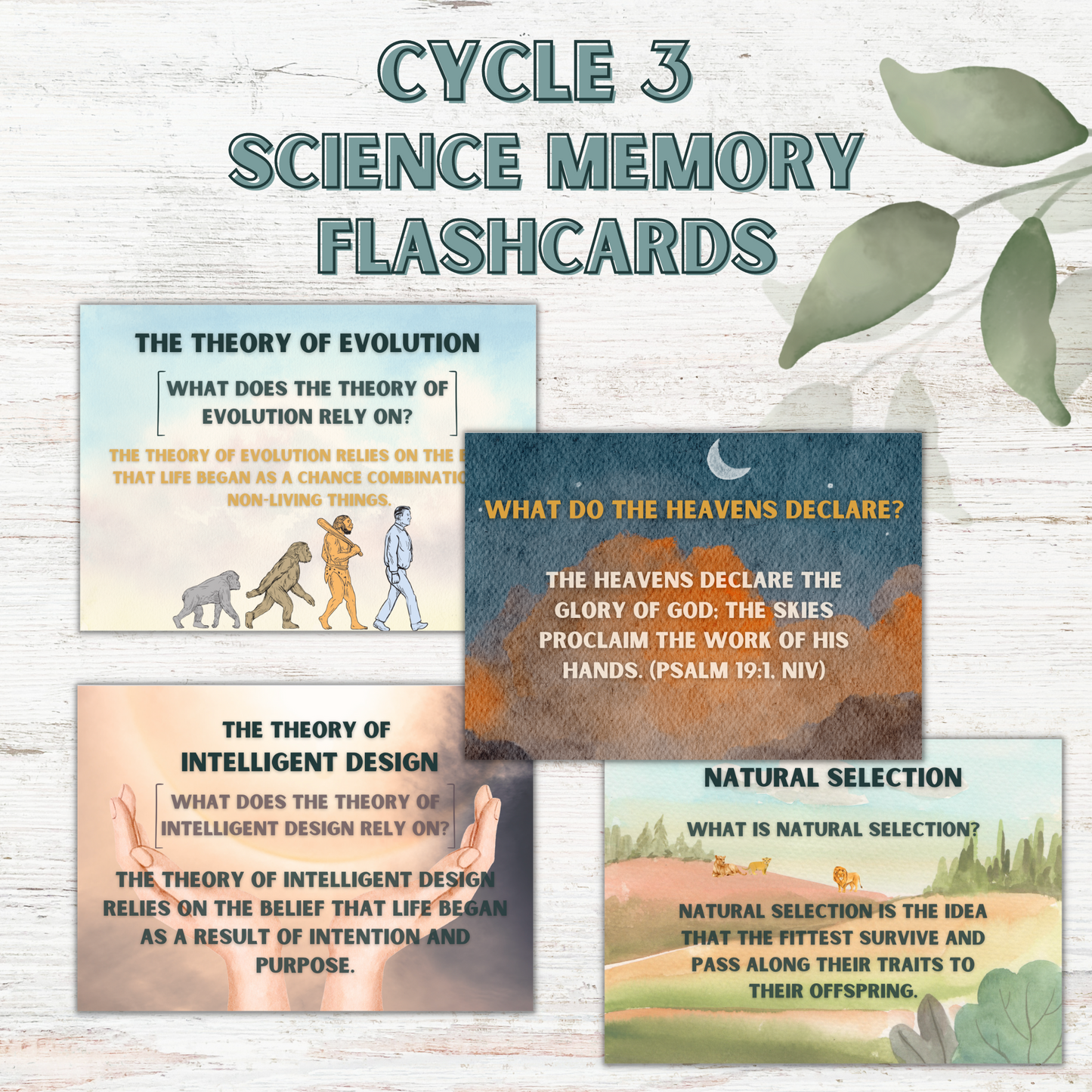 Cycle 3 | Science + History Flashcard Bundle