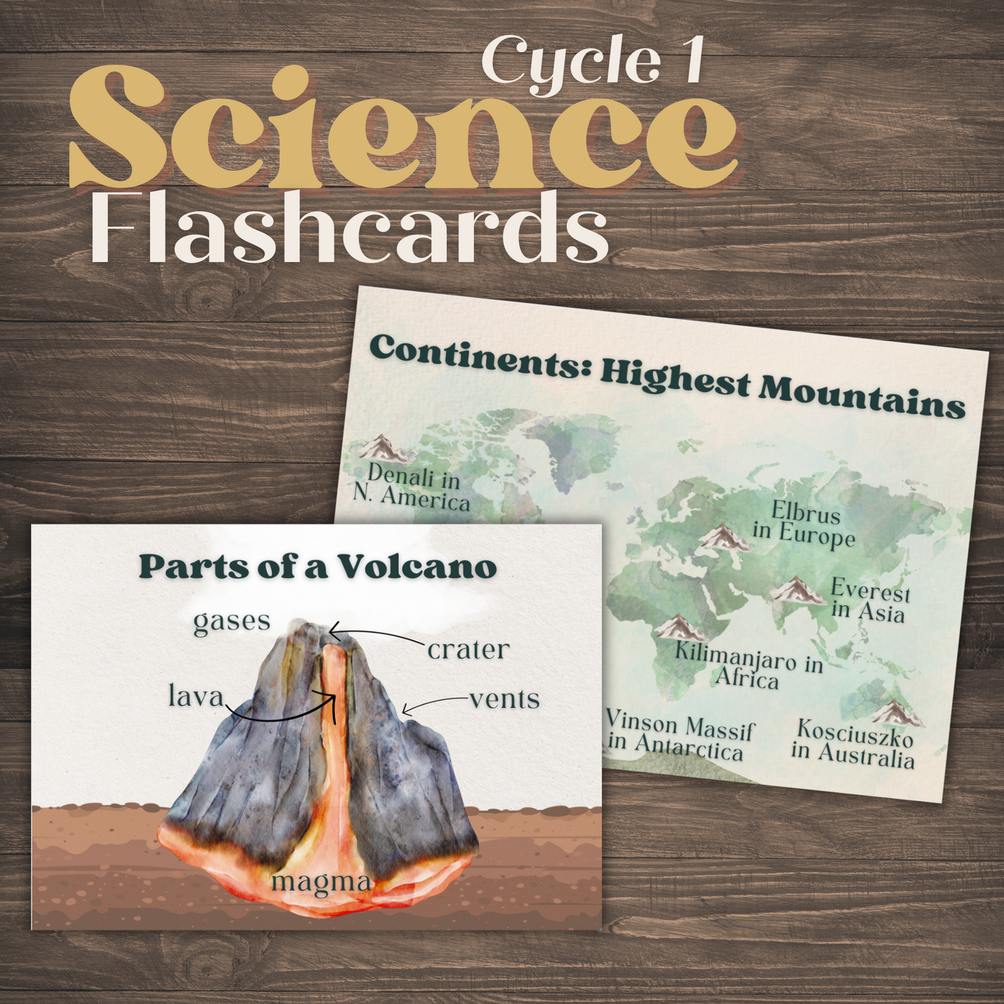 Cycle 1 Science Memory Cards