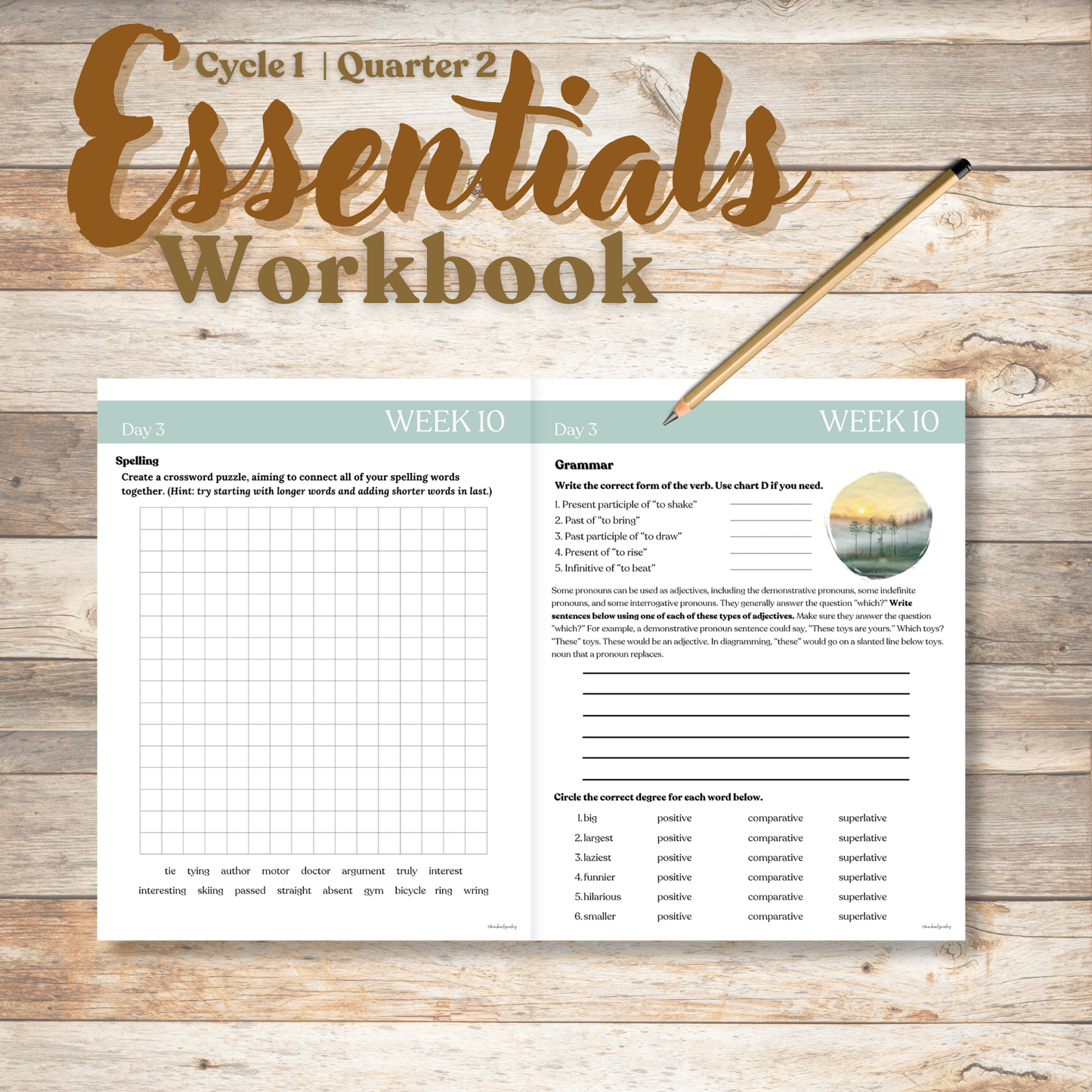 Essentials Workbook | Quarter 2