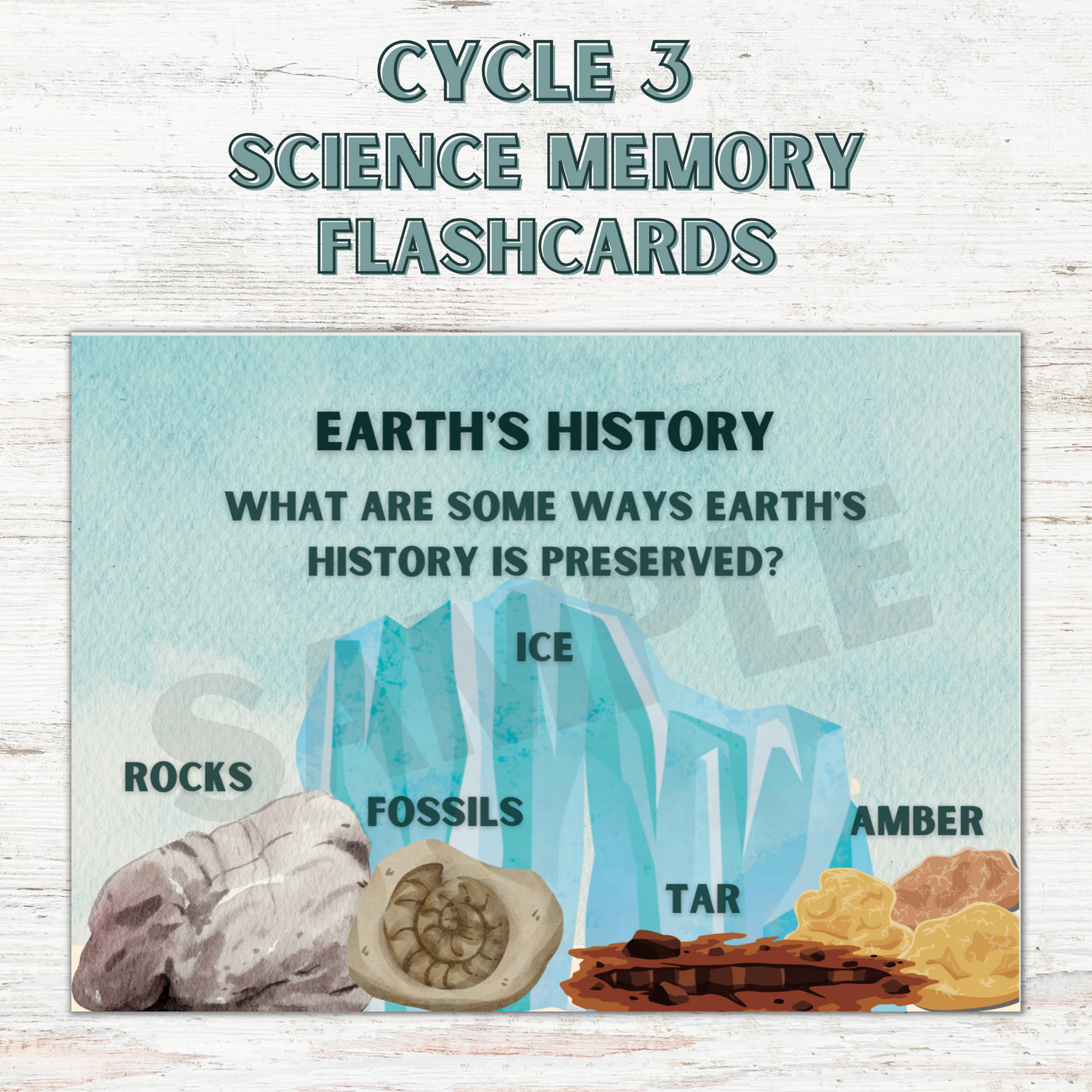 Science Memory Cards | CC Cycle 3