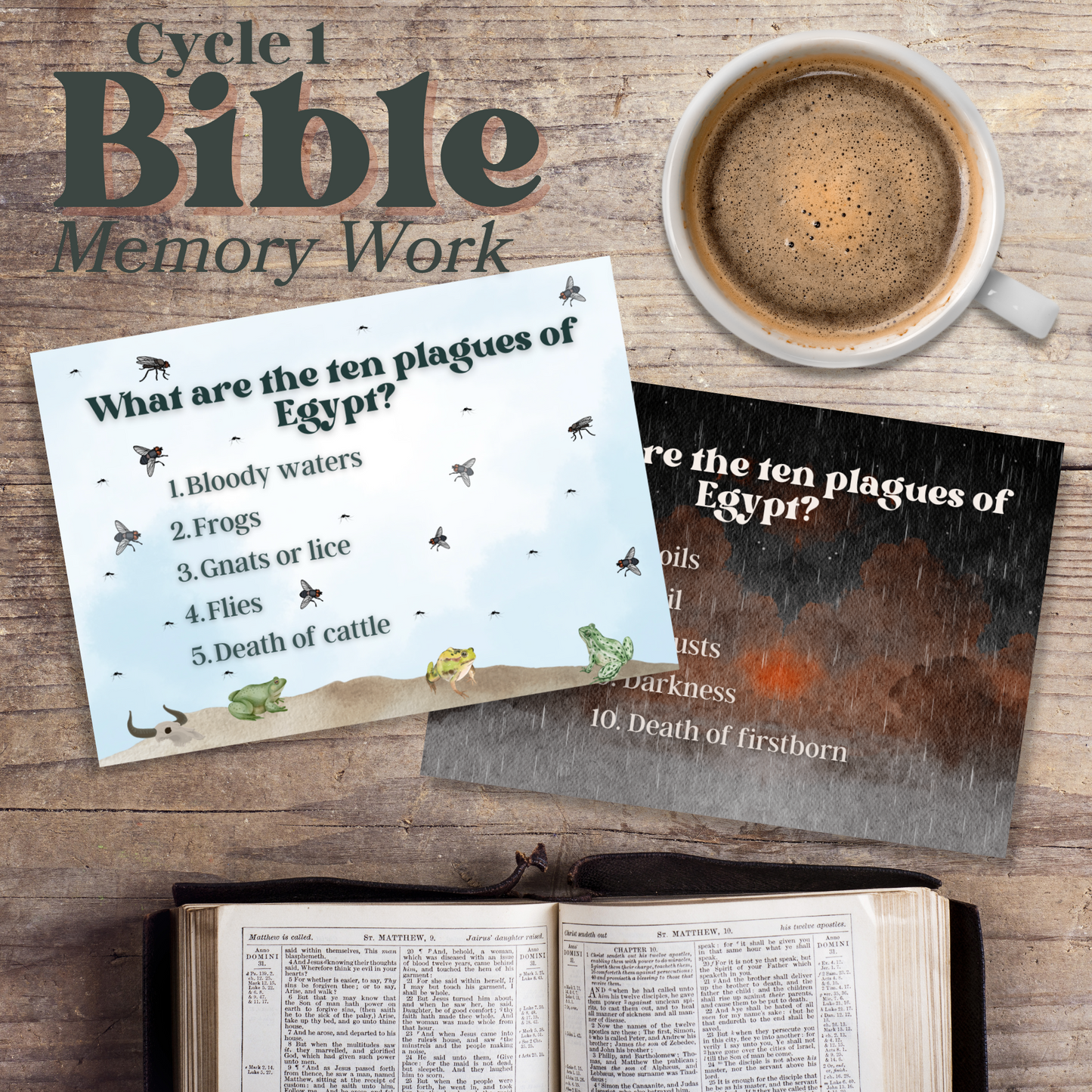 Bible Facts Memory Work + Flashcards | Bible Foundations