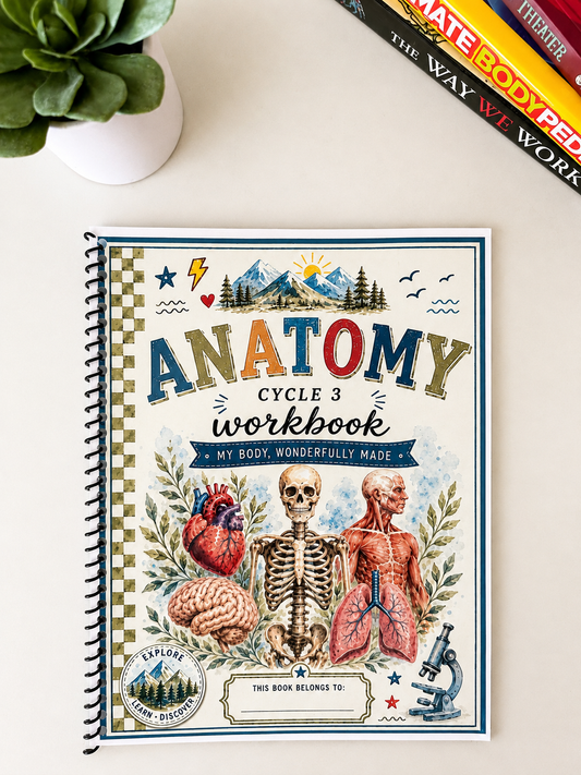 Cycle 3 Anatomy Companion