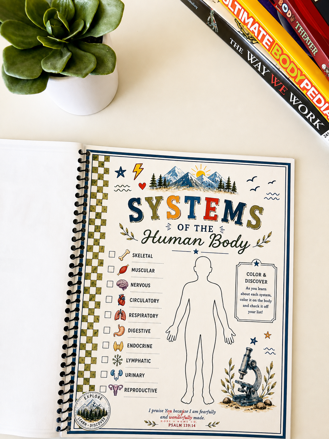 Cycle 3 Anatomy Companion