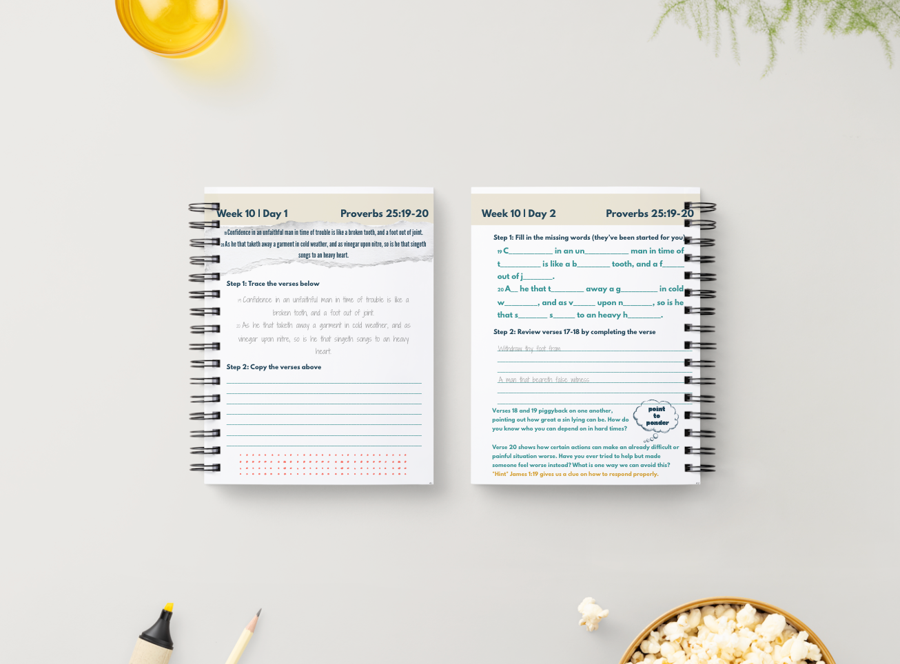 Proverbs 25 | Scripture Memorization Workbook