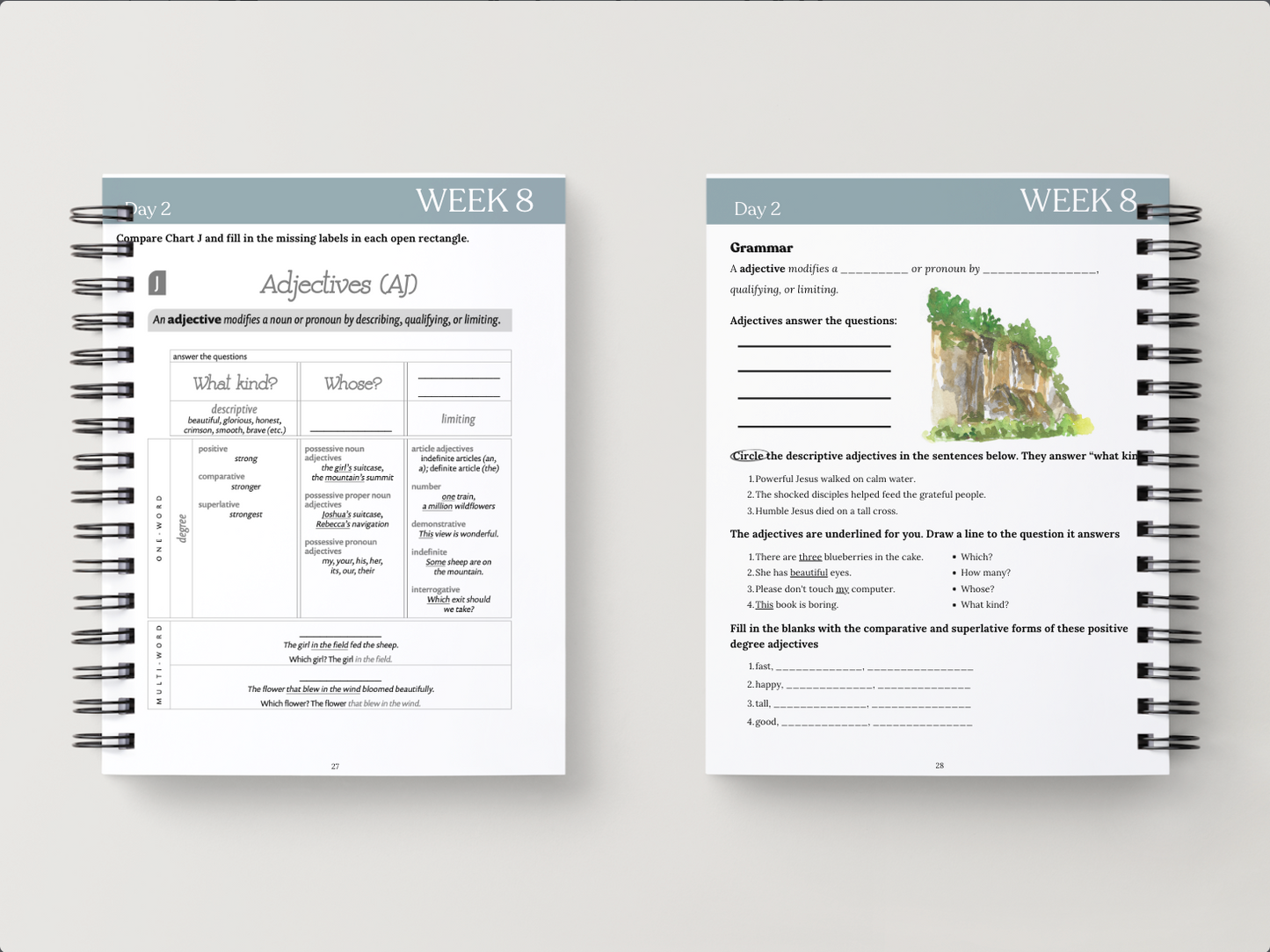 Cycle 2 Essentials Workbook | Quarter 2