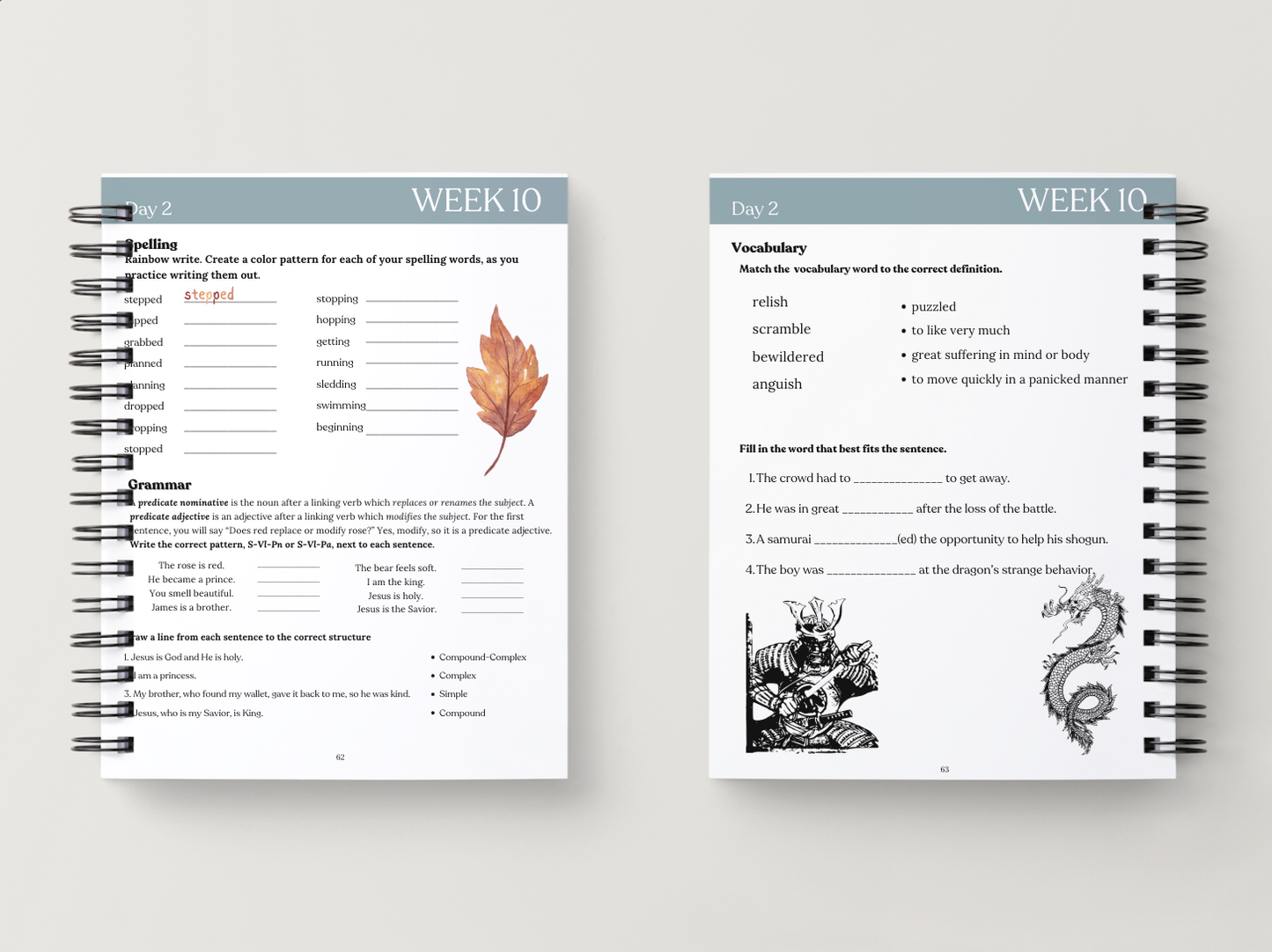 Cycle 2 Essentials Workbook | Quarter 2