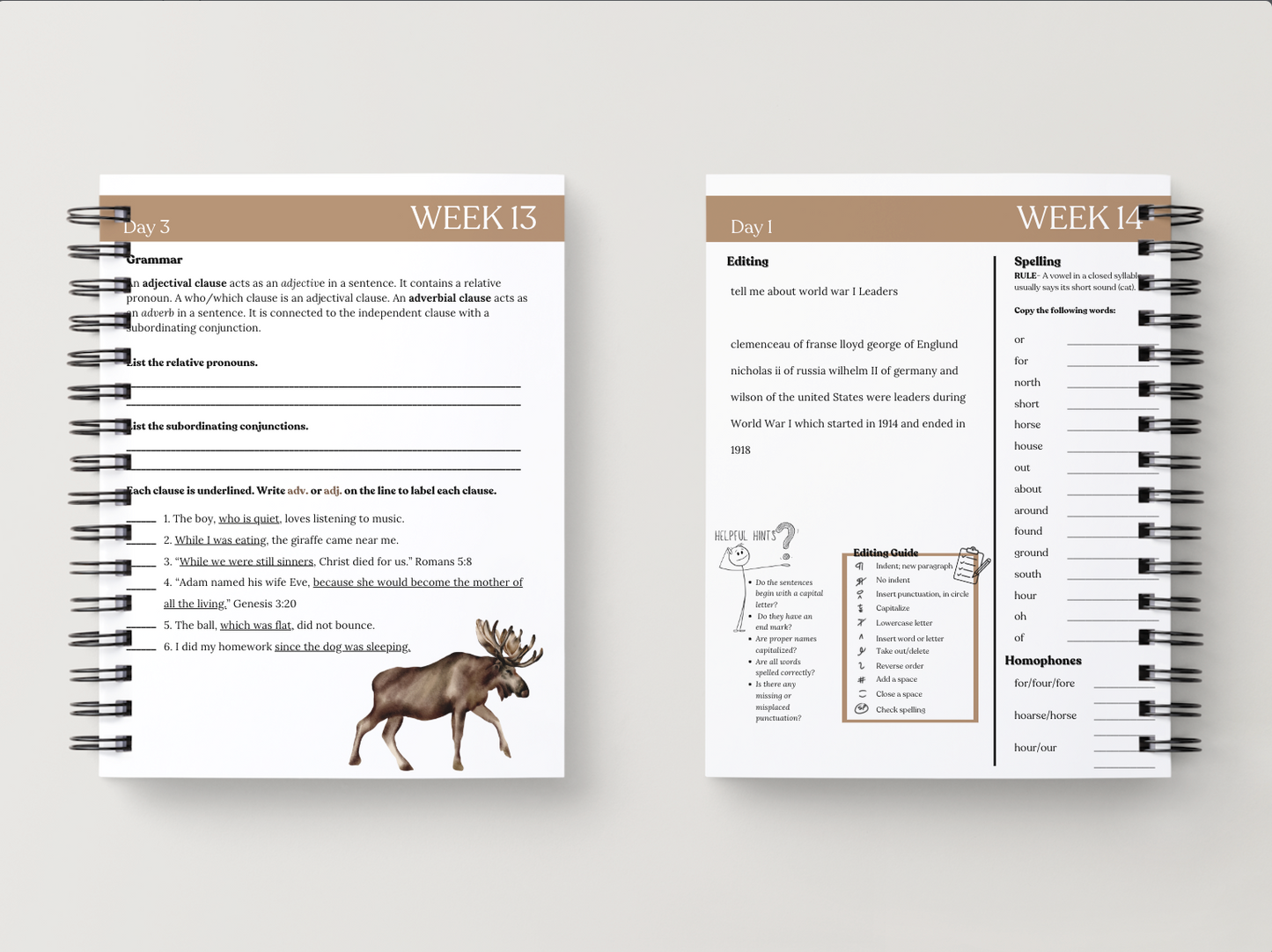 Cycle 2 Essentials Workbook | Quarter 3