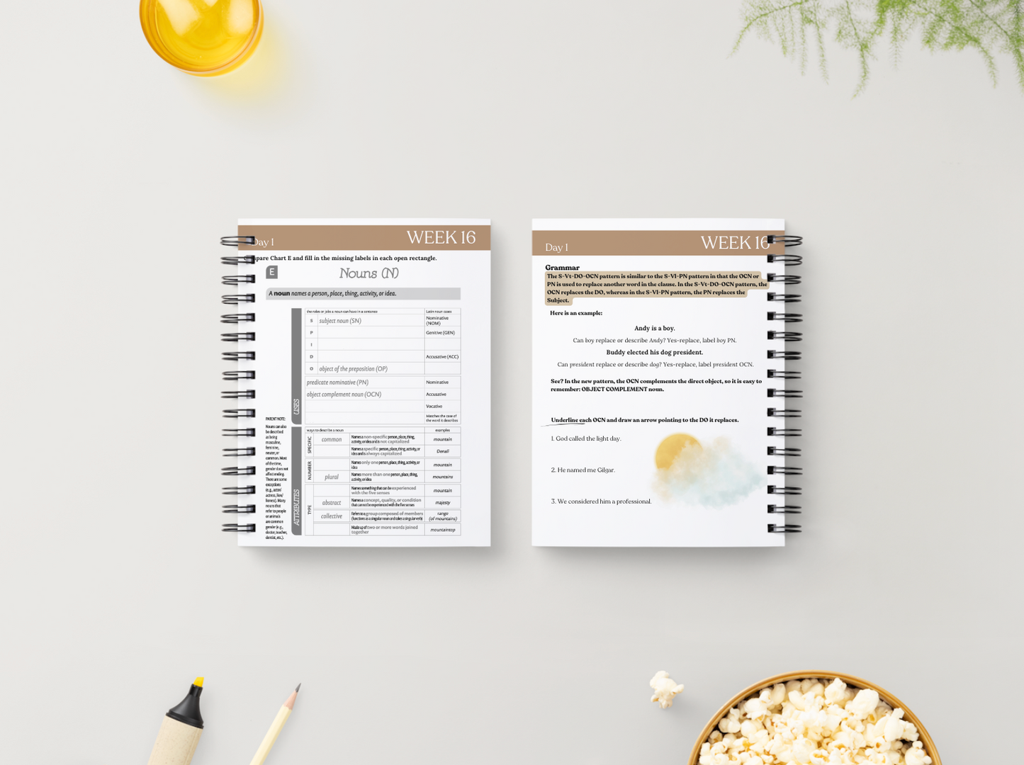 Cycle 2 Essentials Workbook | Quarter 3