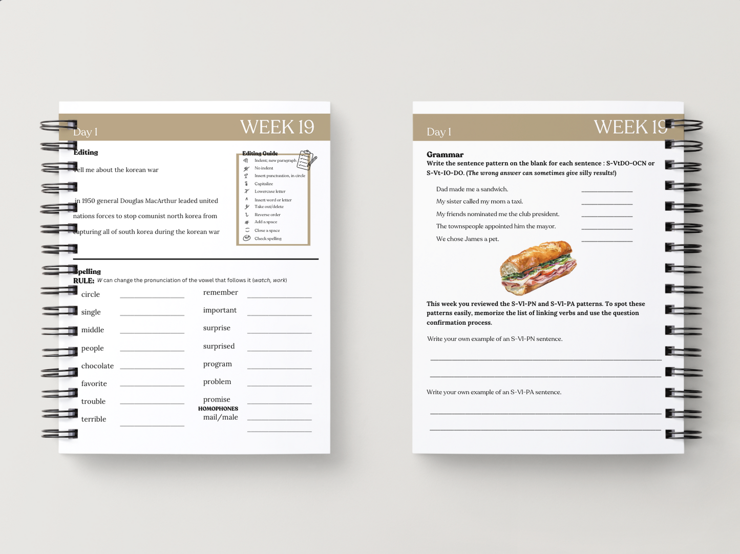 Cycle 2 Essentials Workbook | Quarter 4