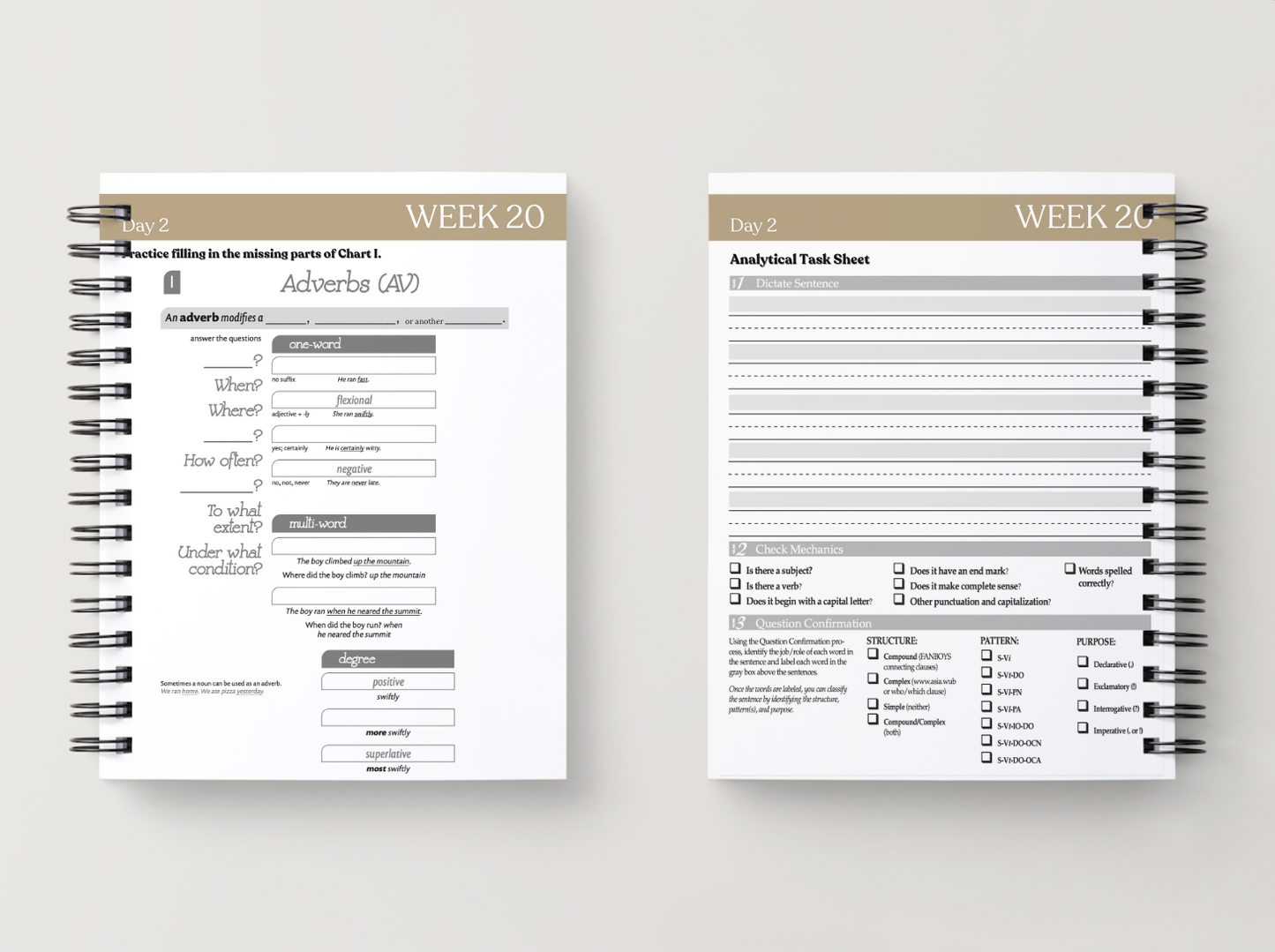 Cycle 2 Essentials Workbook | Quarter 4