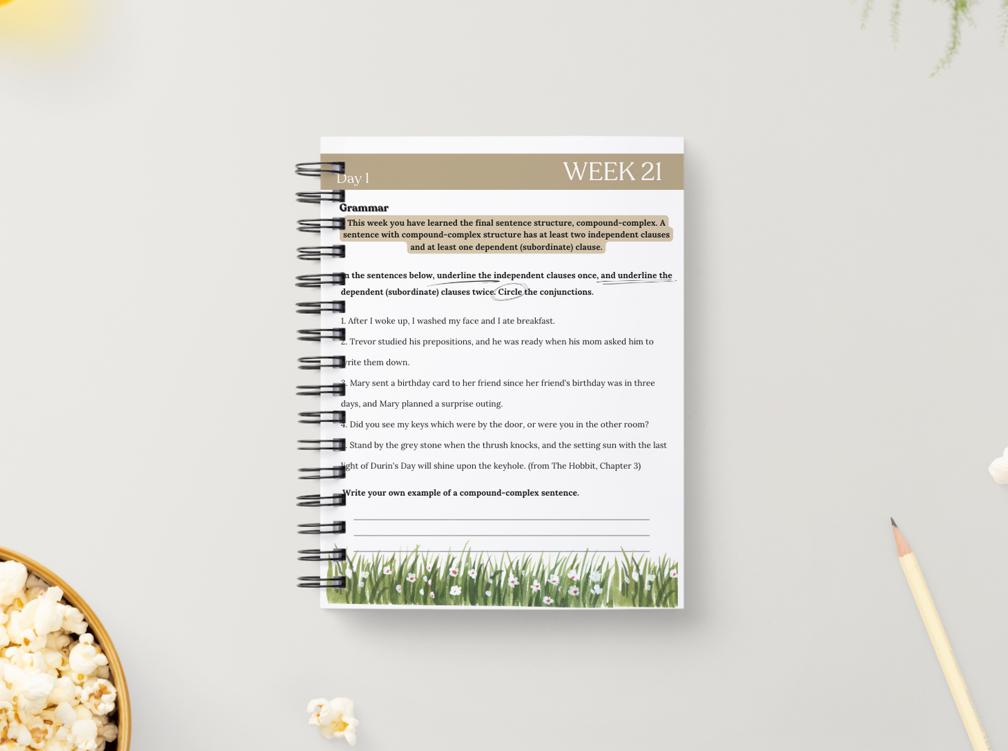 Cycle 2 Essentials Workbook | Quarter 4