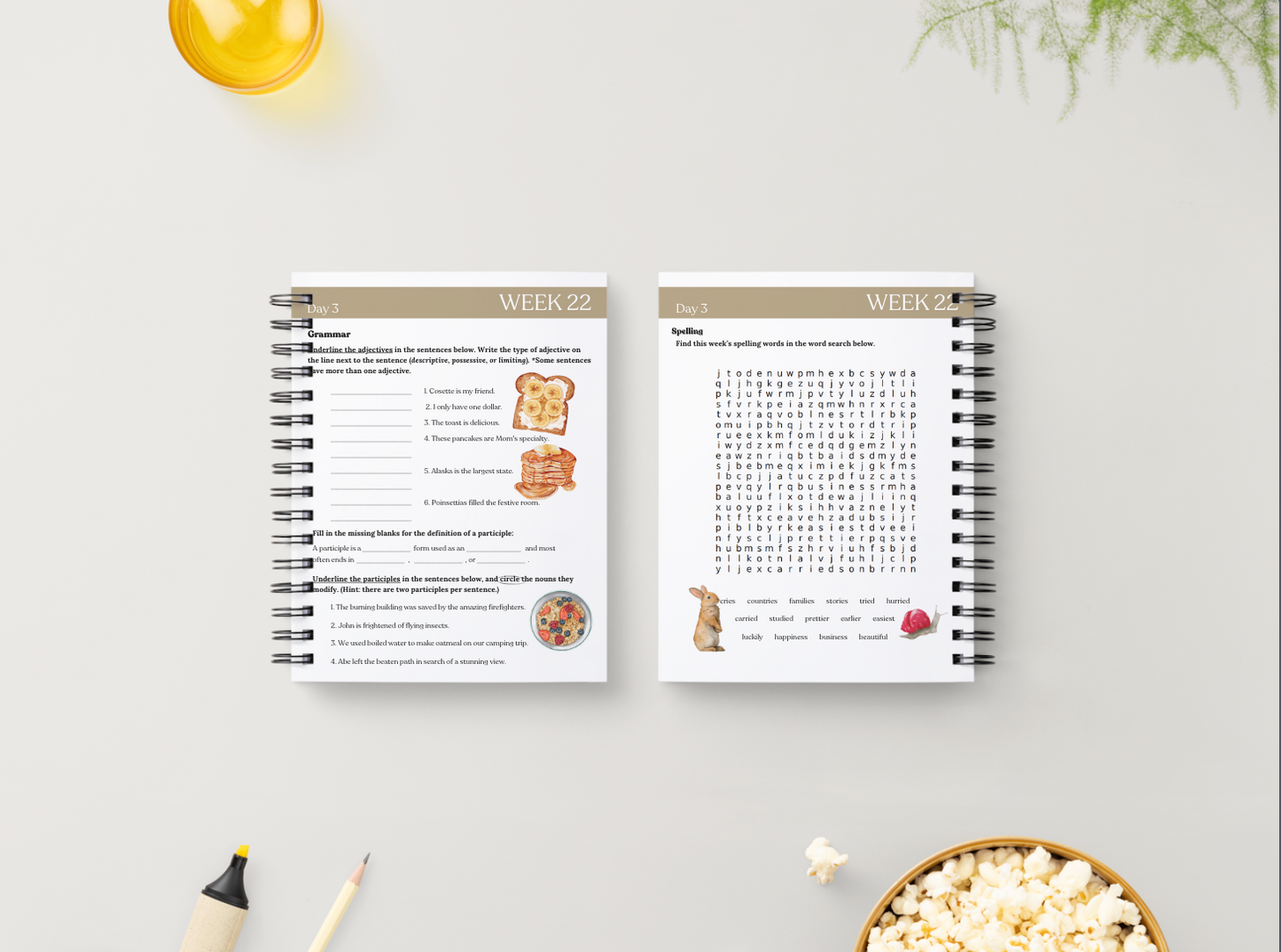 Cycle 2 Essentials Workbook | Quarter 4