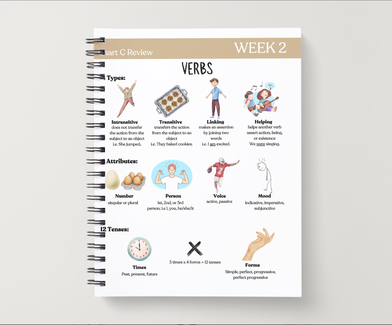 Cycle 3 Essentials Workbook | Quarter 1