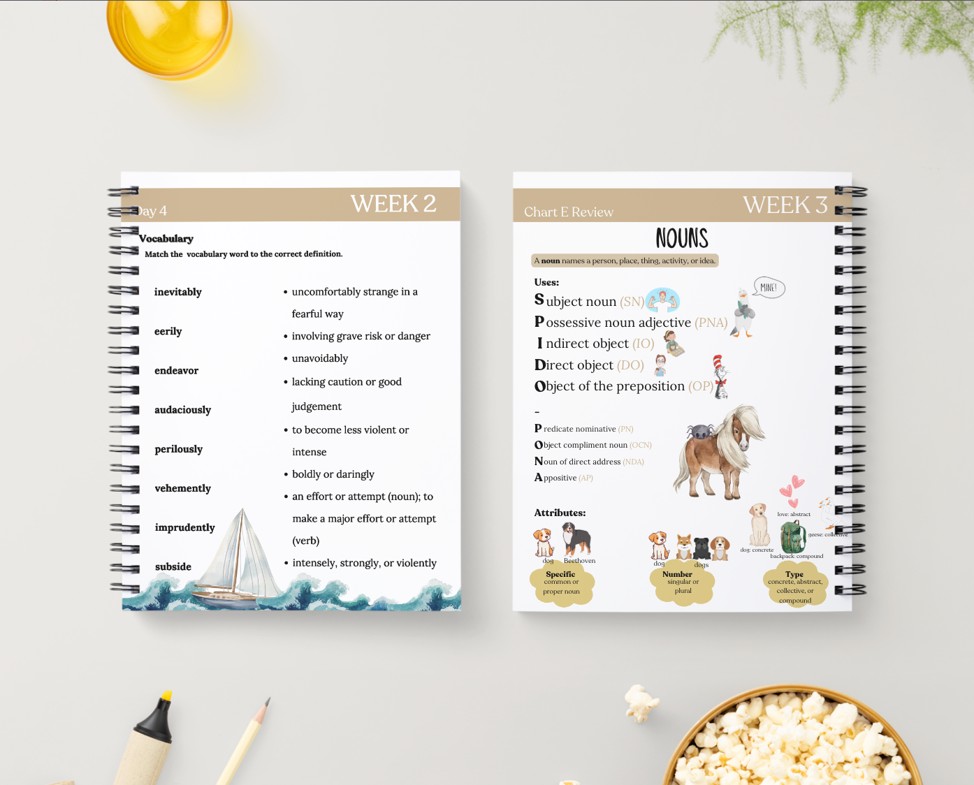 Cycle 3 Essentials Workbook | Quarter 1