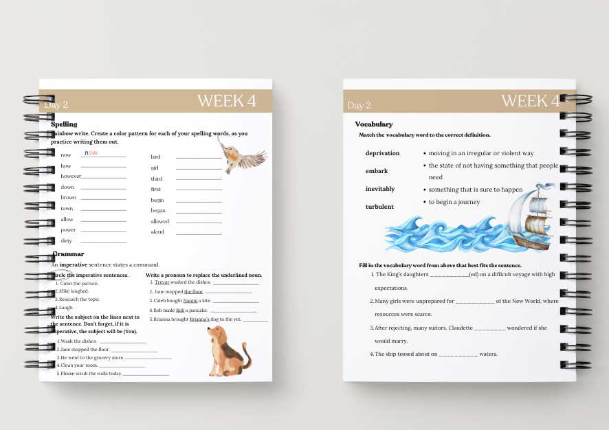 Cycle 3 Essentials Workbook | Quarter 1 | Canada
